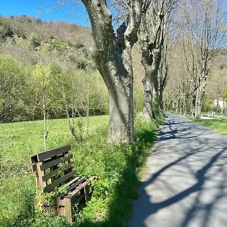 בית נופש Agreable Petite Maison Rustique Saint-Genies-de-Varensal
