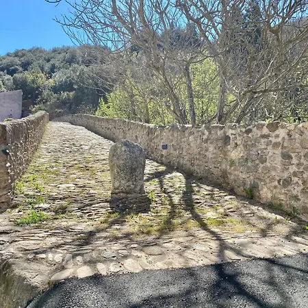 Agreable Petite Maison Rustique בית נופש Saint-Genies-de-Varensal
