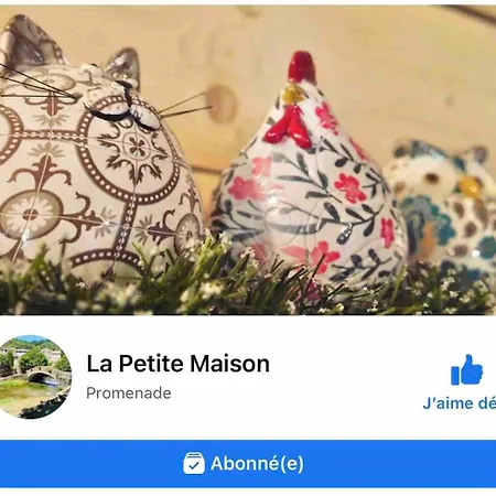 Agreable Petite Maison Rustique בית נופש Saint-Genies-de-Varensal