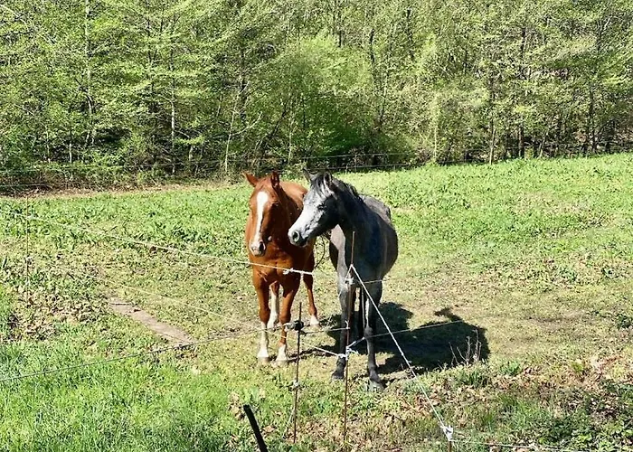 Petite Maison Rustique *
