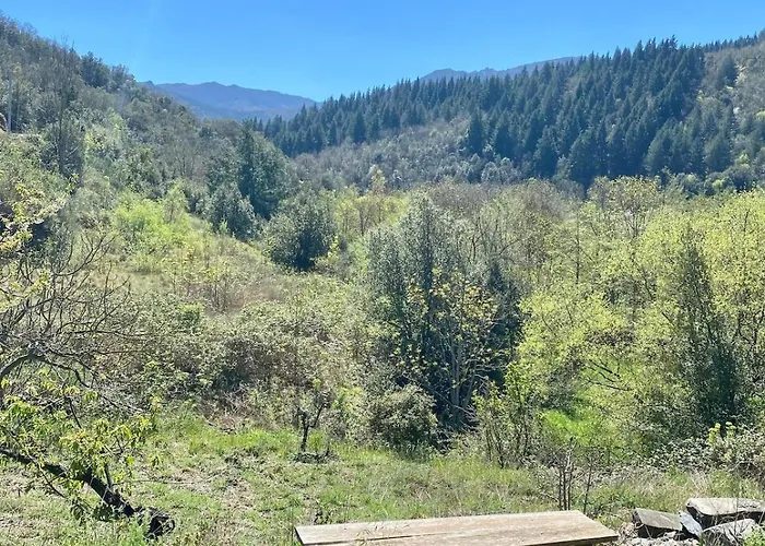 Agreable Petite Maison Rustique * Saint-Genies-de-Varensal