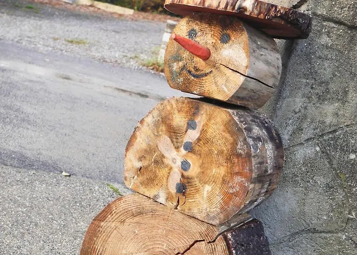 Tatil Evi Agreable Petite Maison Rustique Saint-Genies-de-Varensal