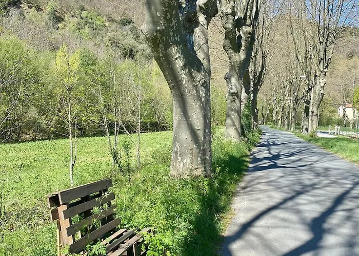 Tatil Evi Agreable Petite Maison Rustique Saint-Genies-de-Varensal